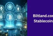 Biitland.com