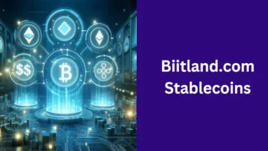 Biitland.com