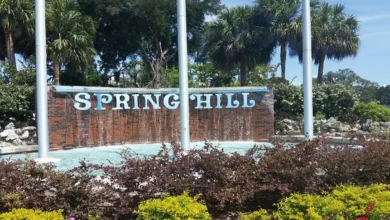 Spring Hill