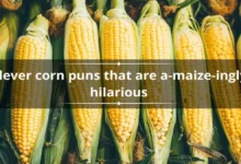 Corn Puns